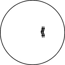 2010 & Up Chevrolet Camaro 19