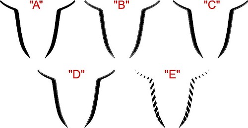 2015 & Up Dodge Charger SRT / HELLCAT Hood Spear Accent Stripe Kit