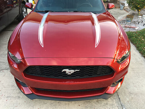 2015 - 2020 Ford Mustang Hood Spear Stripes

