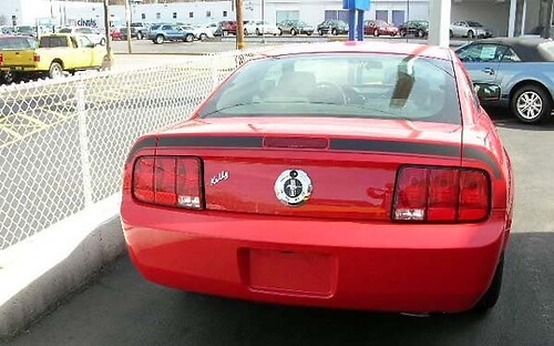 2005-2009 Ford Mustang Rear Trunk Stripe Kit