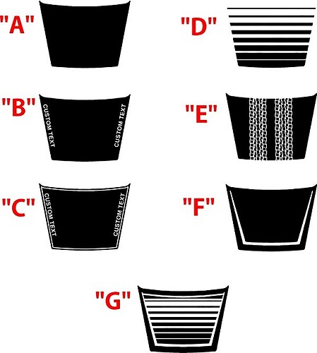 2017 & Up Ford Raptor Hood Sticker Decal
