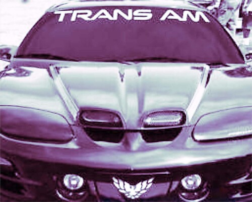 1950-2017 Pontiac Trans Am Vinyl Windshield Body Decal Sticker New Custom 1PC