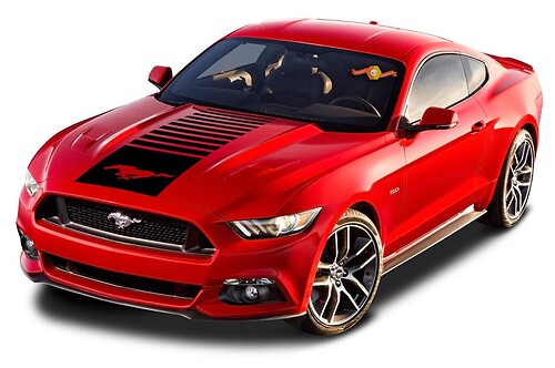 Ford MUSTANG Center Hood Horse Vinyl Decal Graphic Stripes 2010-2020
