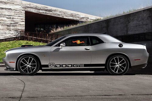 2X Dodge Challenger UNIVERSAL Rocker Panel Stickers Decals Stripe Vinyl Graphics
