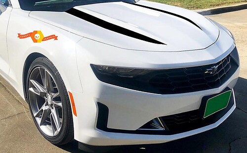 Chevrolet Camaro 2019 hood Sticker Decal package spider stripes, vinyl graphic