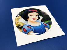 Snow White Fuel Door Insert emblem domed Sticker Decal for Challenger Dodge 2