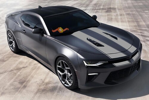 Camaro Pin Stripe Rally Vinyl Stickers Decals Racing Stripes SS RS Convertible 2016-2018
