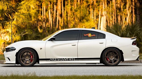2X Dodge Charger Rocker Panel Stickers Decals Stripe Vinyl Graphics 2011-2021