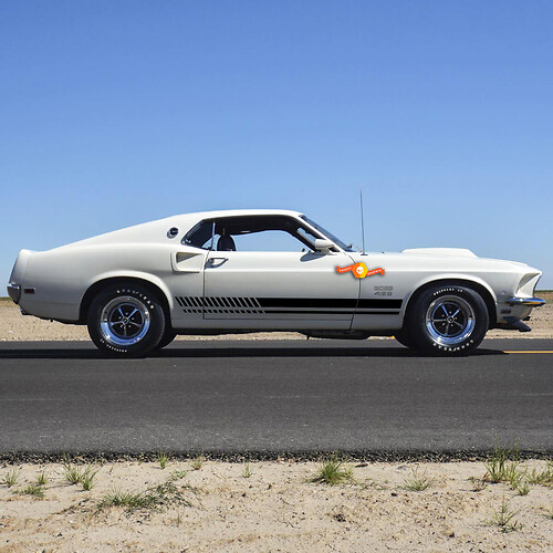 2 Car Decal Graphic Sticker Side Stripe Kit For Ford Mustang