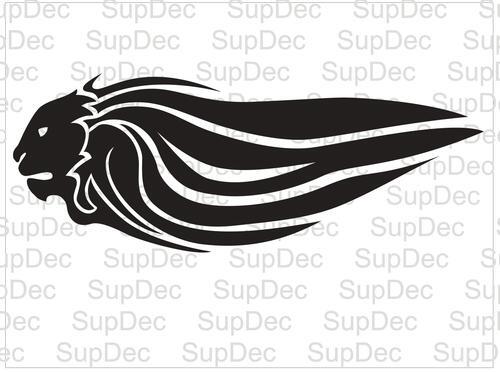 Aprilia lion Variation