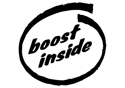 BOOST INSIDE 0048 අති ඇඩ්වයිස් විනිල් ස්ටිකර් ඩිකල්
