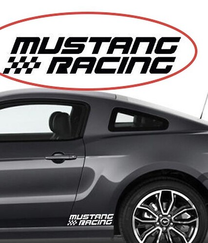 FORD MUSTANG Racing Side Skirt Fender GT 5.0 Vinyl 3 Stickers Decals incl 2010 - 2020
