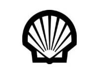 Shell Decal Sticker